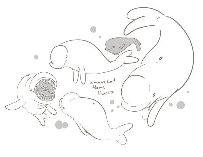 Had to design a porpoise for animation class, remembered how obsessed I was with belugas as a kid