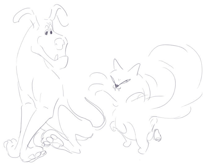Dog n cat