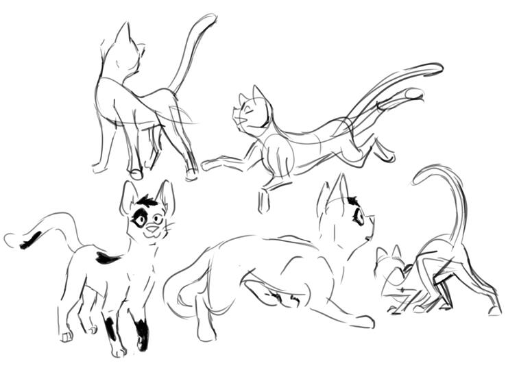 Can&#39;t help but go back to my roots and doodle some cats from time to time! Patch eye lookin is my warriorsona Mosstail